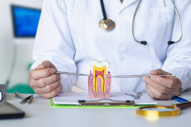 Best Emergency Dentist for Knocked-Out Tooth in Seagoville, TX